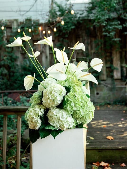 Bloom Florals portfolio 5