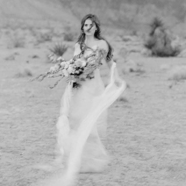 Maggie Smith Photography portfolio 4