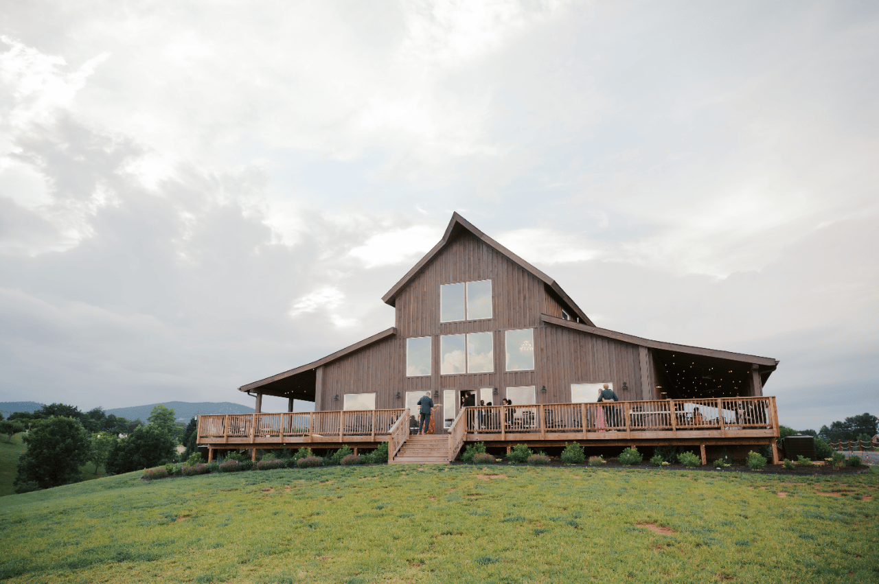 Reitano Vineyards