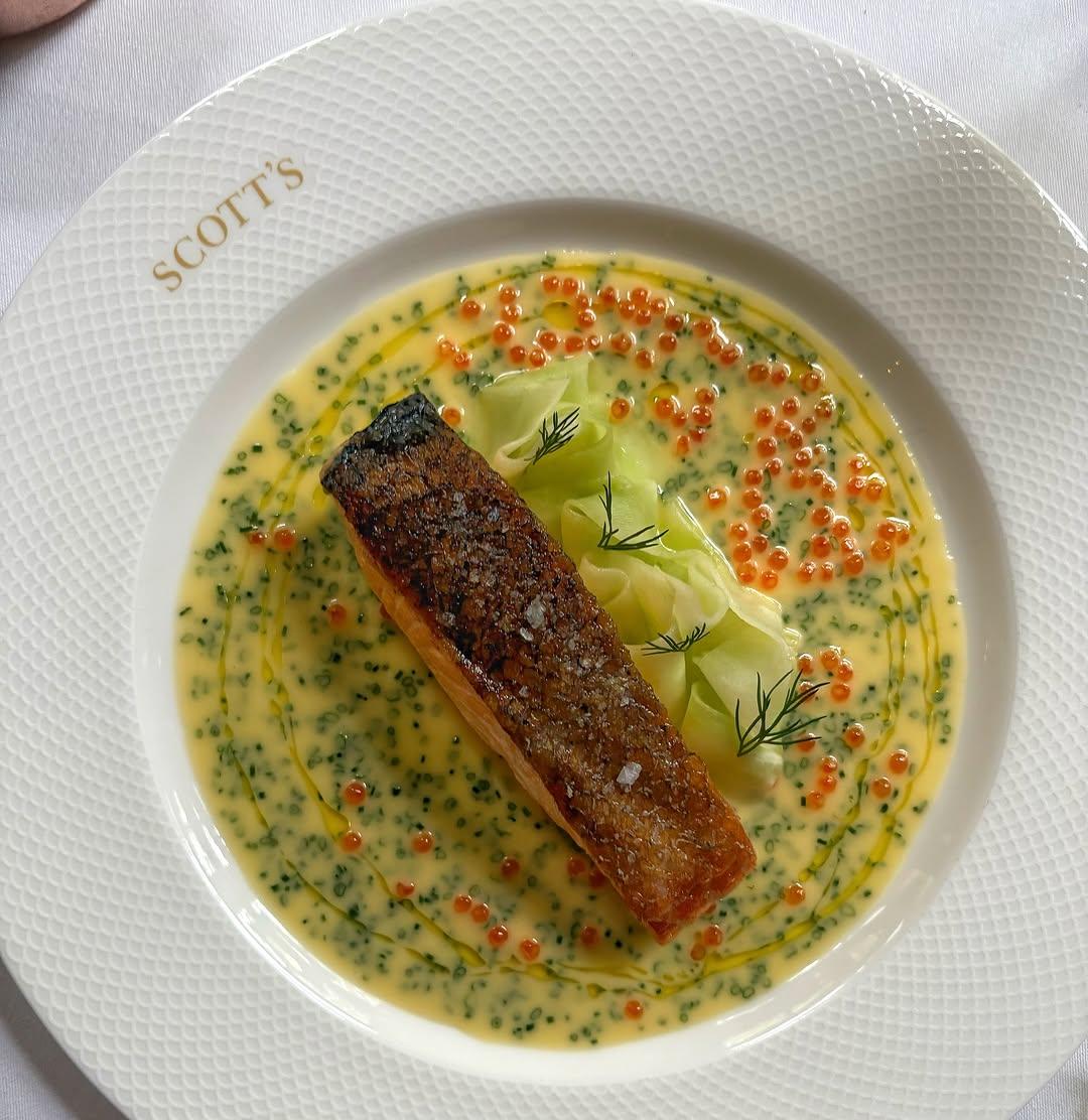 Chef Tom Fraser portfolio 1