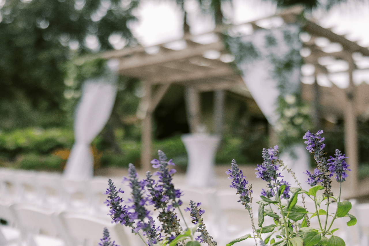 Innisbrook Resort portfolio 3