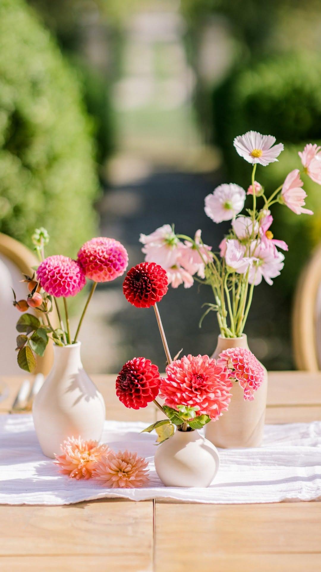 Puscina Flowers portfolio 4