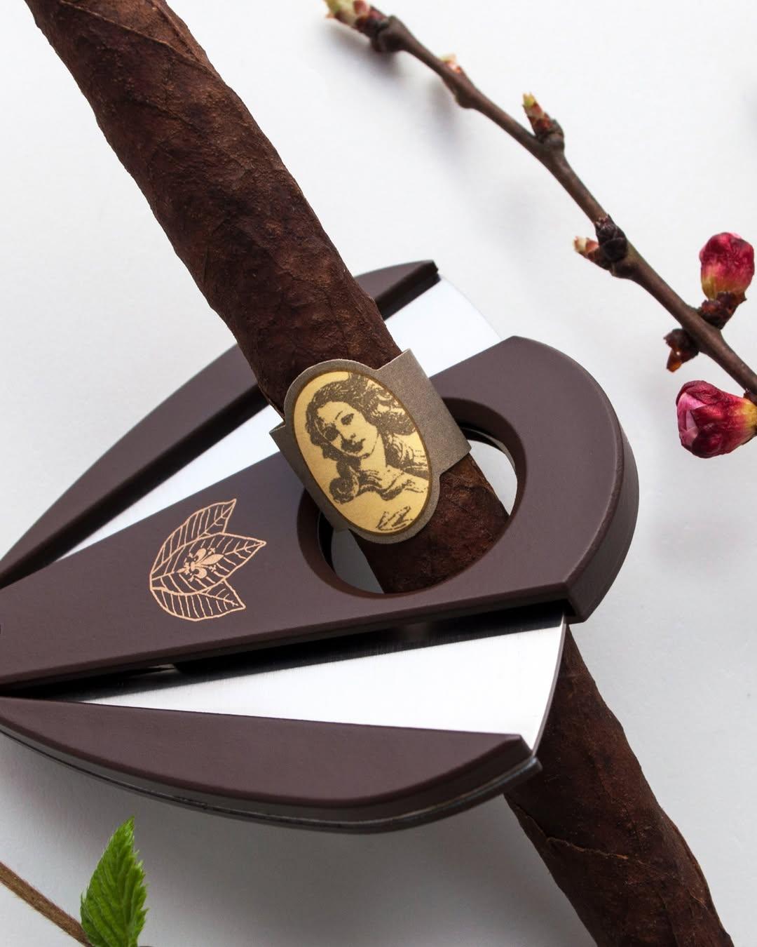 Cigar Toscano portfolio 3