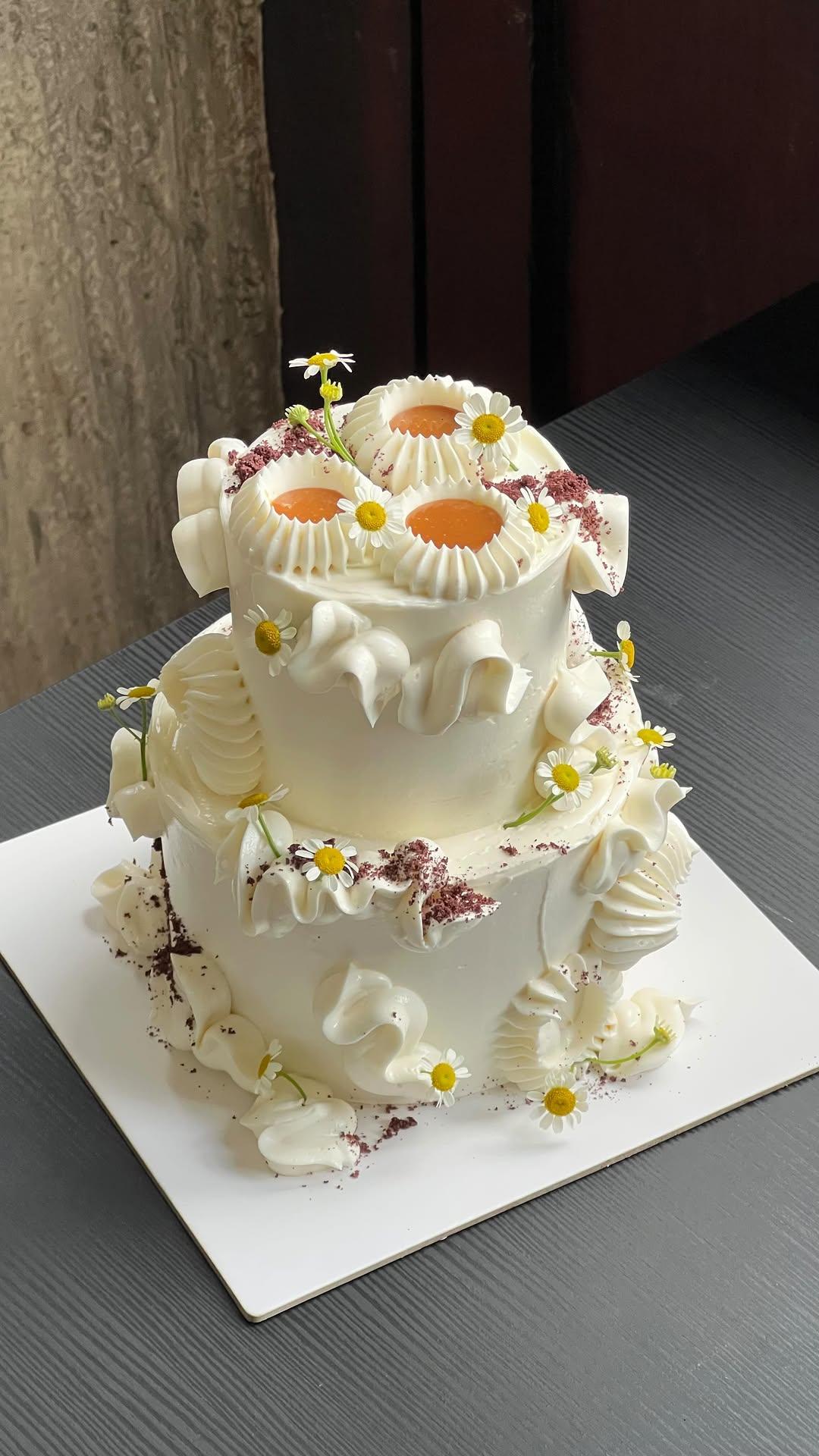 Cake Manglar portfolio 4