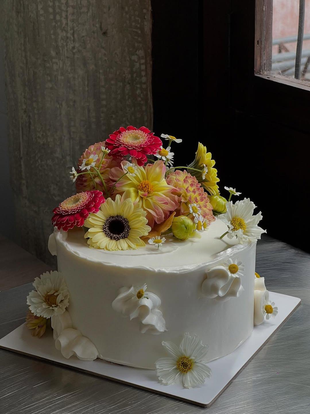 Cake Manglar portfolio 3