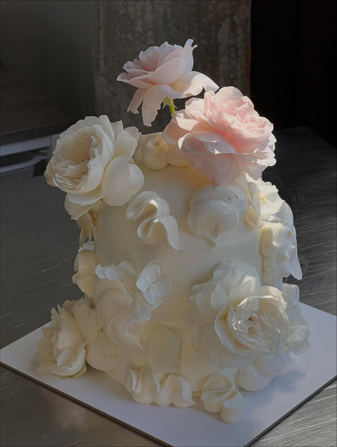 Cake Manglar portfolio 5