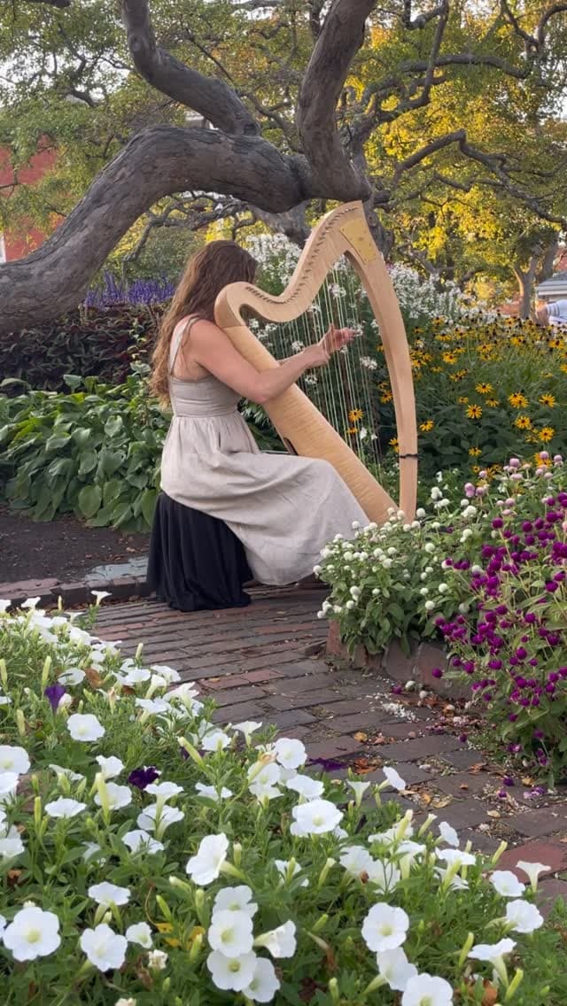 Shelley Otis portfolio 1