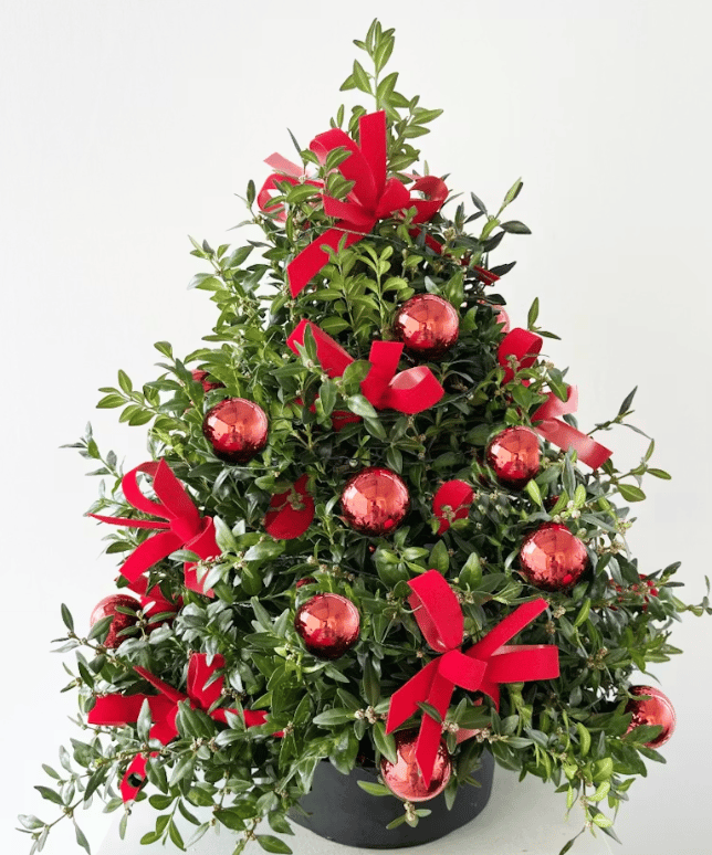 Marco Island Florist portfolio 3