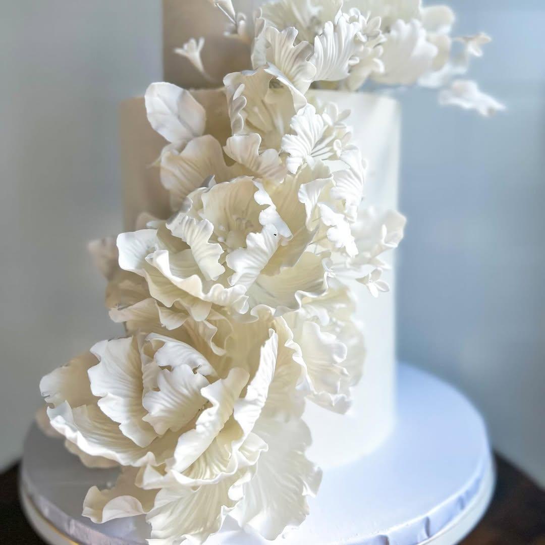 Divya Rao Pastry portfolio 1