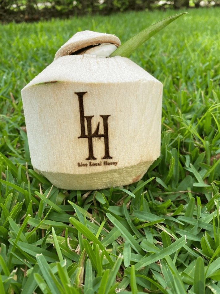 Nauti Coconut portfolio 5