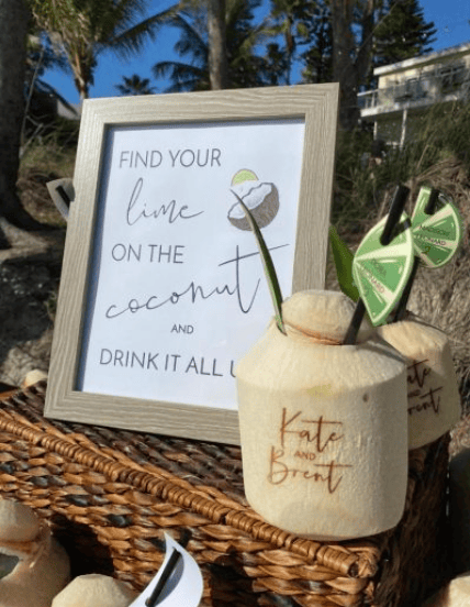 Nauti Coconut portfolio 1