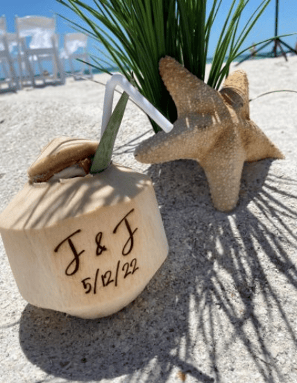 Nauti Coconut portfolio 4