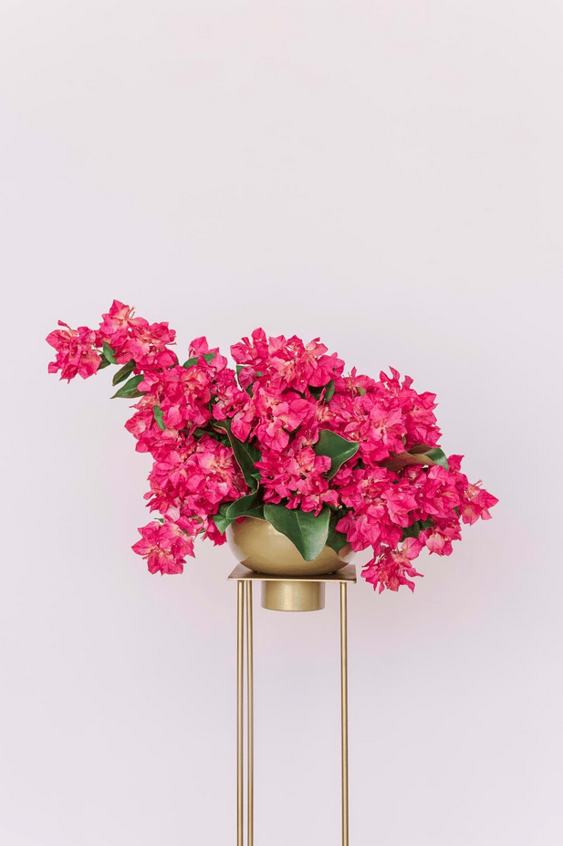 Gemma Grand Centerpiece
