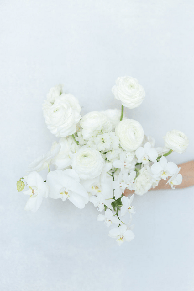 Effortless Elegance in a Modern Coastal Setting 11
