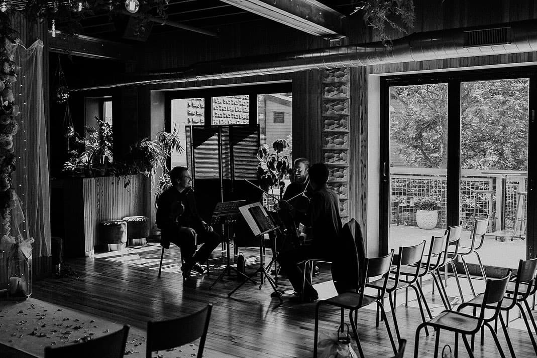 Fenway String Quartet portfolio 5