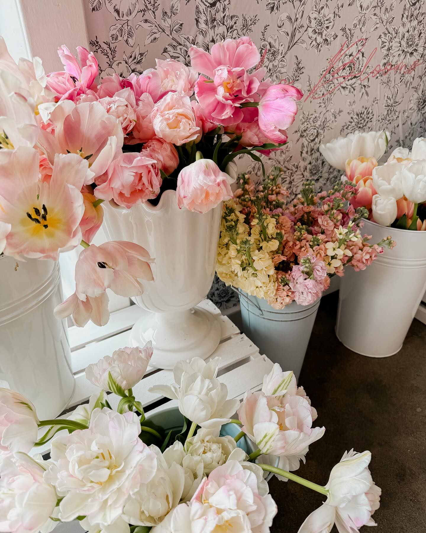 Les Blooms