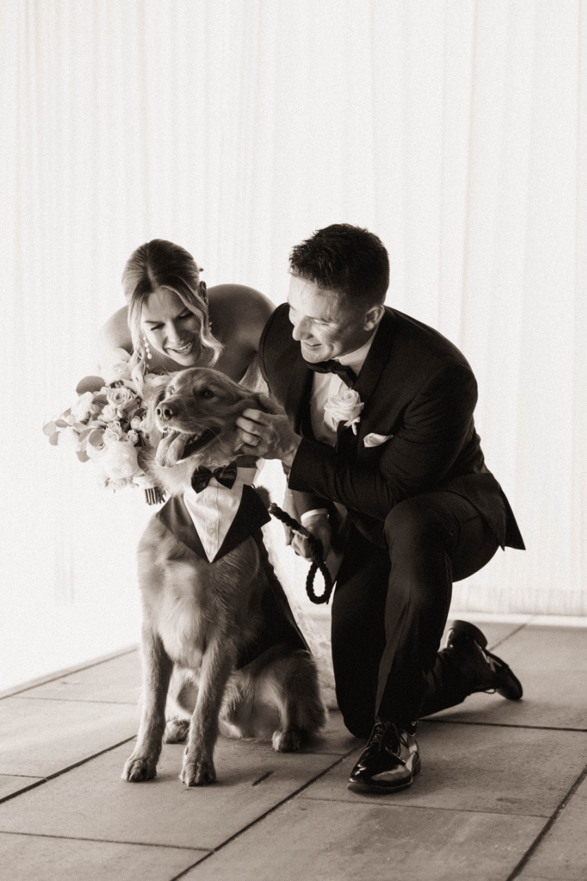 Tina D Events portfolio 5