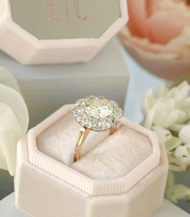 The Antonia Bevel Single