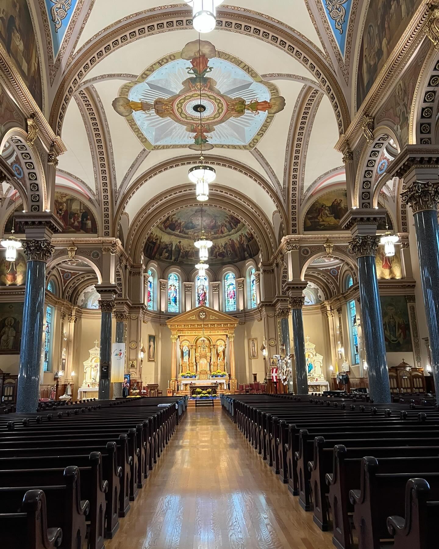 Holy Name Cathedral portfolio 2