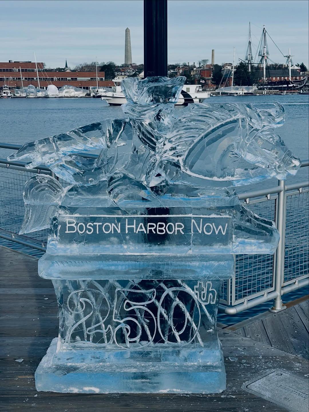 Brookline Ice Co. portfolio 1