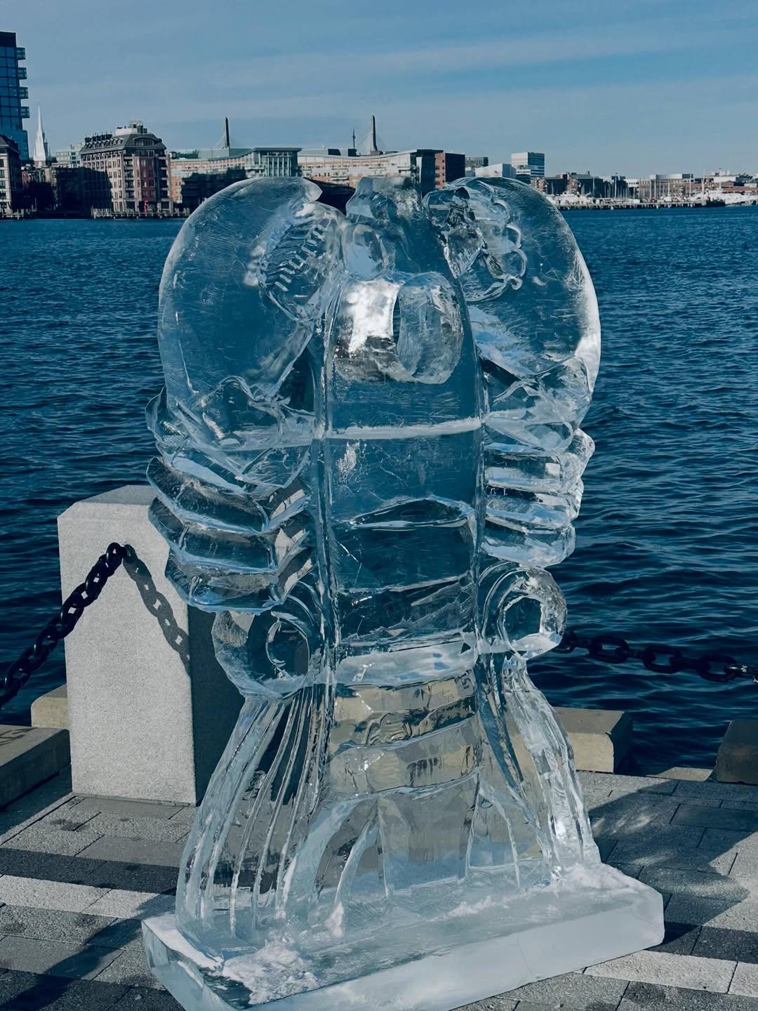 Brookline Ice Co. portfolio 2