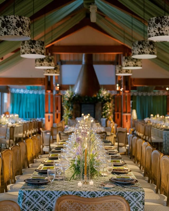 Premier Party Rentals portfolio 4