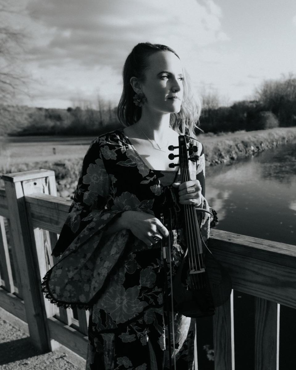 The Violin Kat portfolio 3