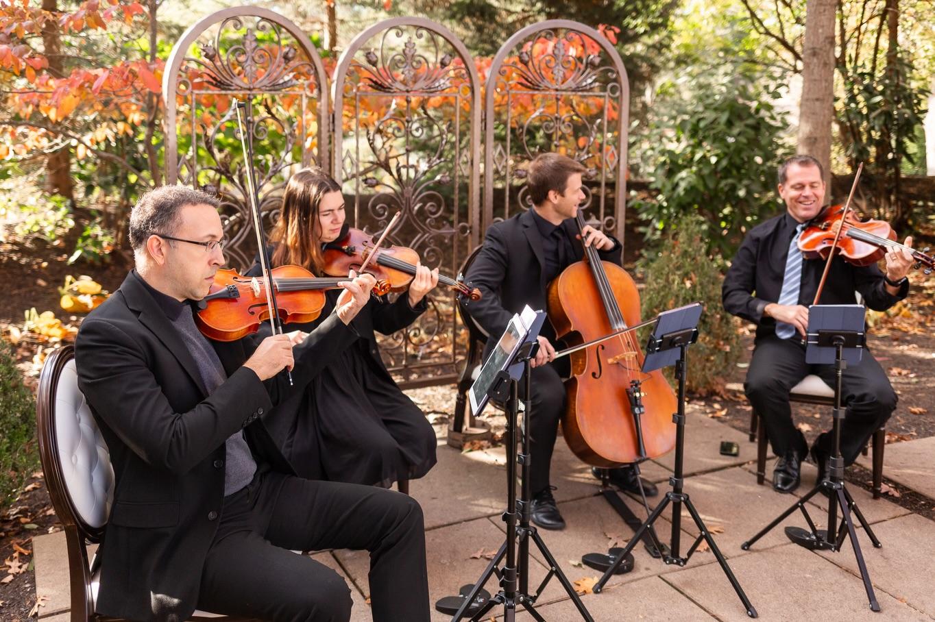 Elegance String Quartet