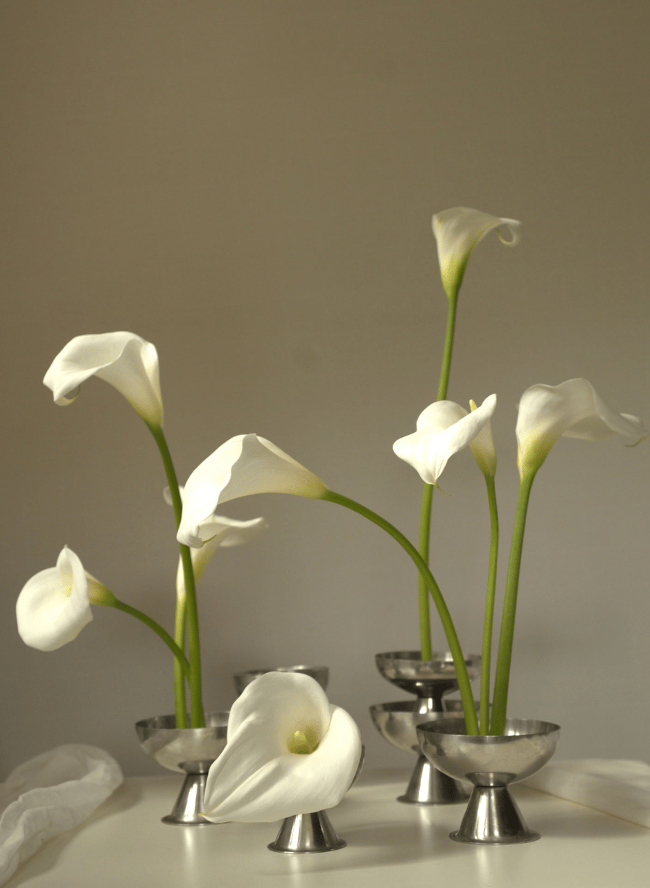 Angie Flowers Studio portfolio 2