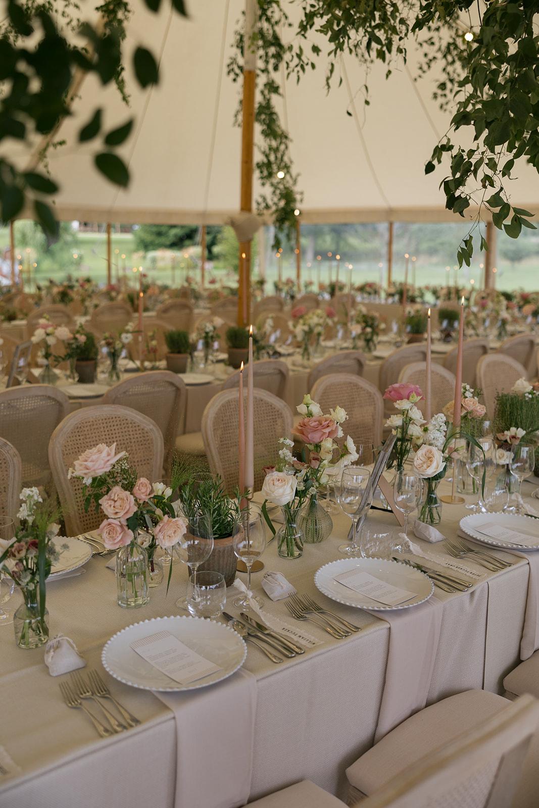 Becca Tucker & Harry Tucker's wedding 49