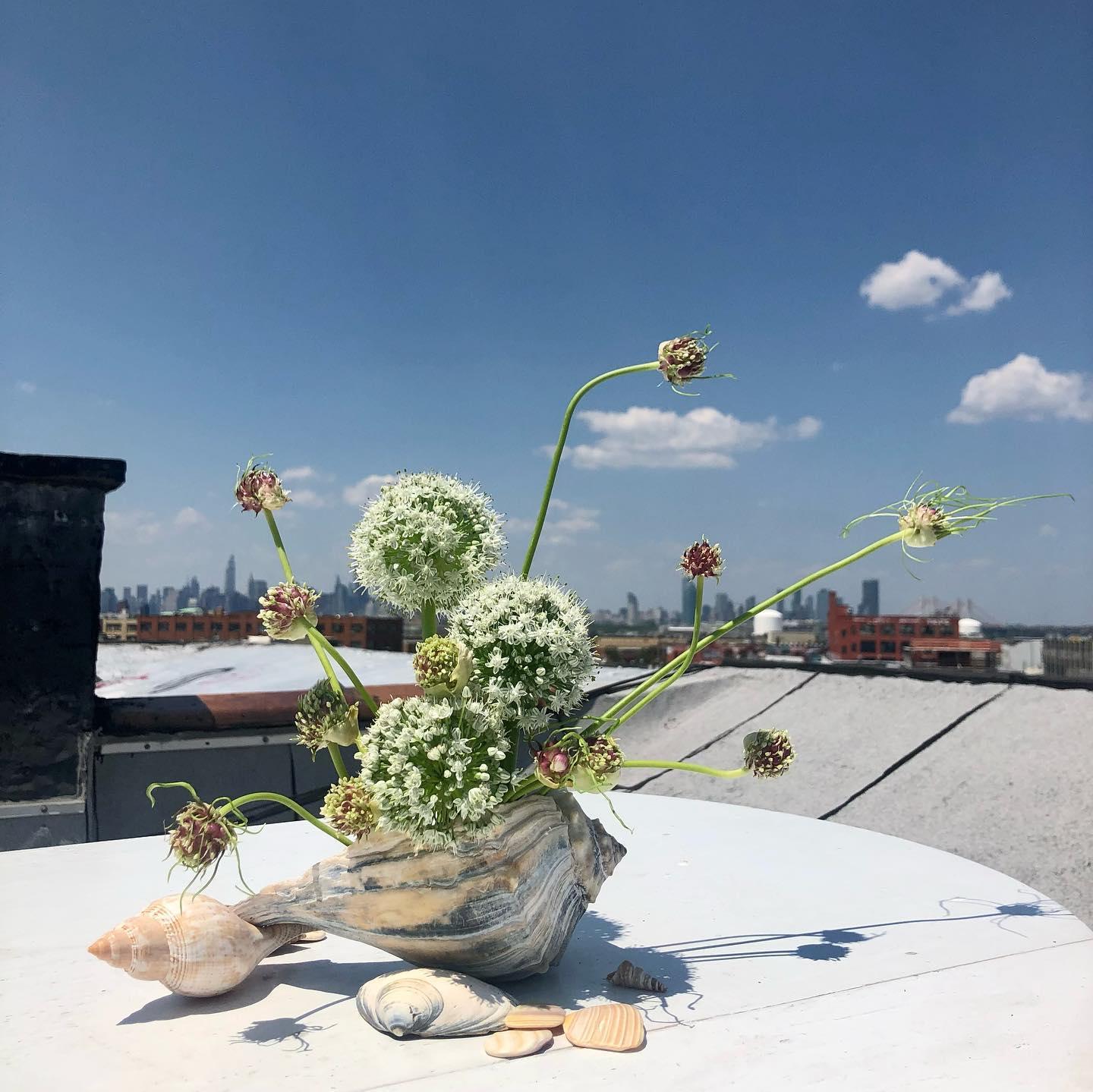 Late Bloomer Florals NYC portfolio 4