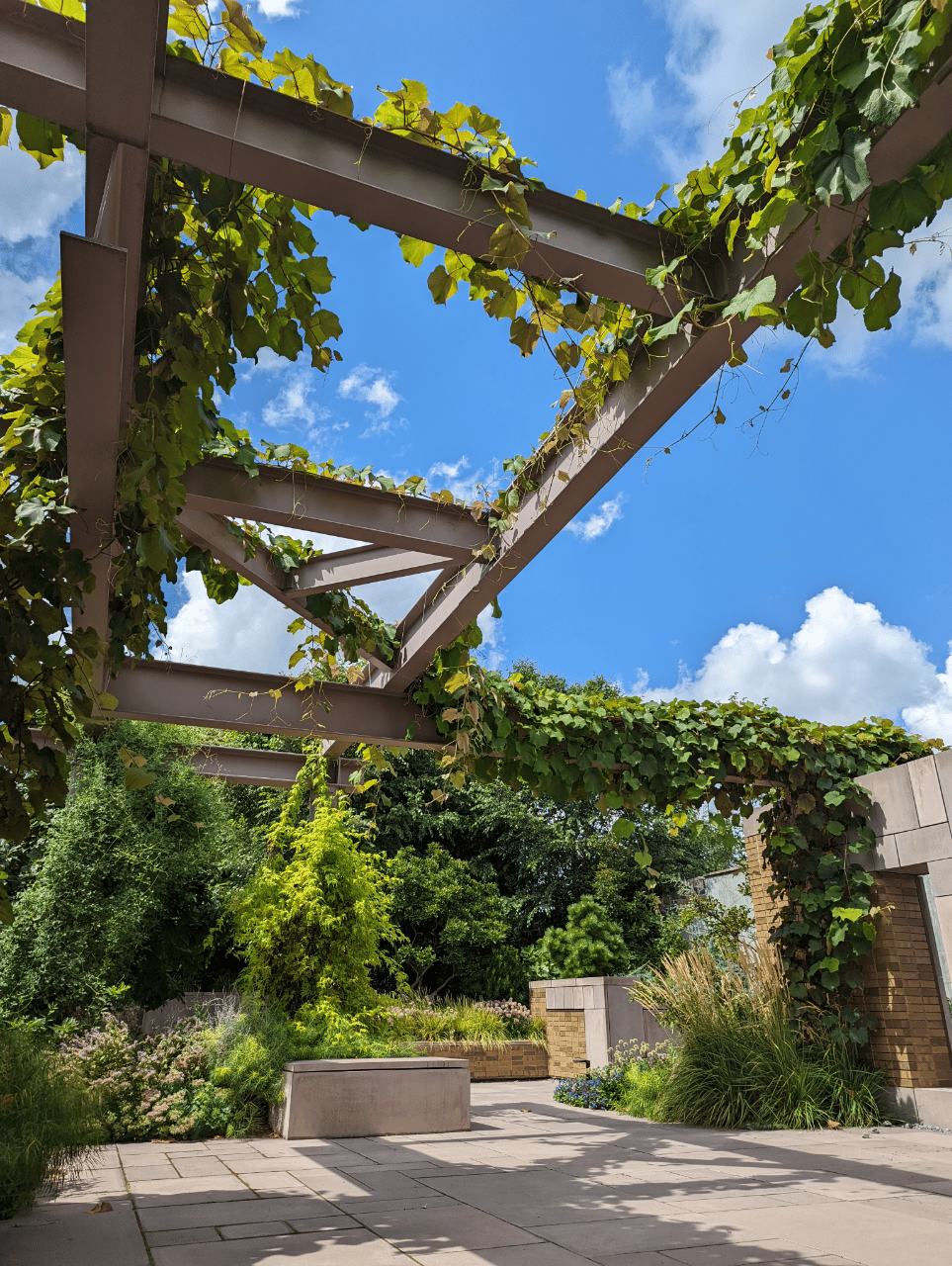 Carroll Hall portfolio 1