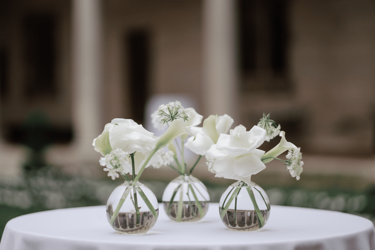 Table & Tulip