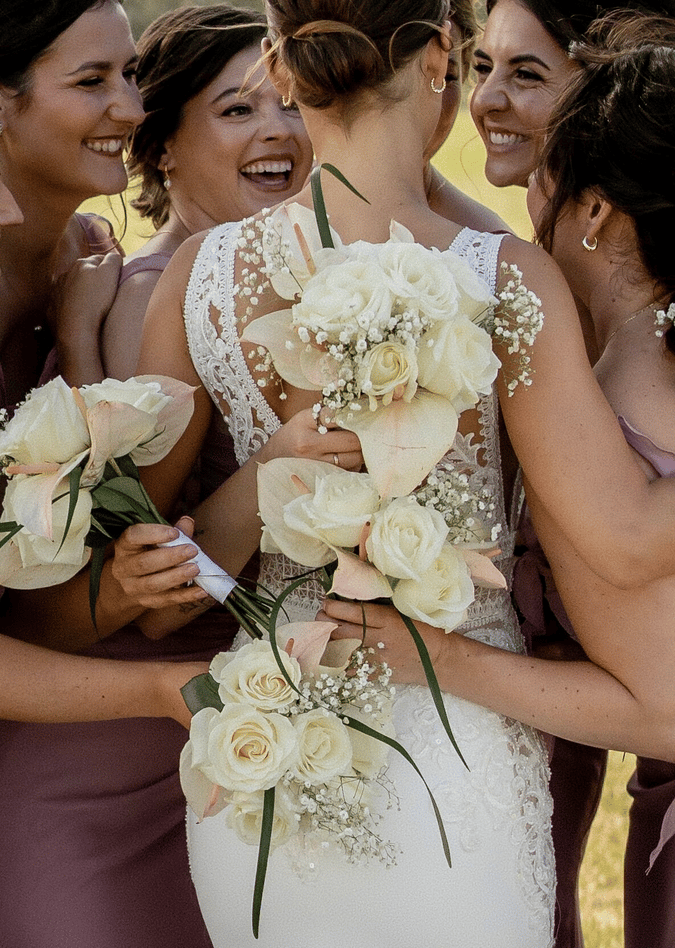 Apricity Photography & Videography