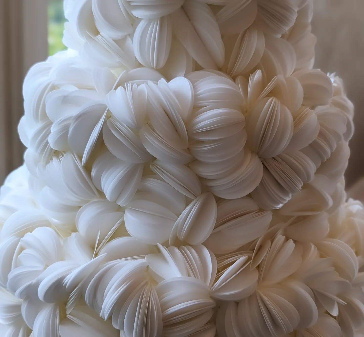 Cake Bee Cake portfolio 2