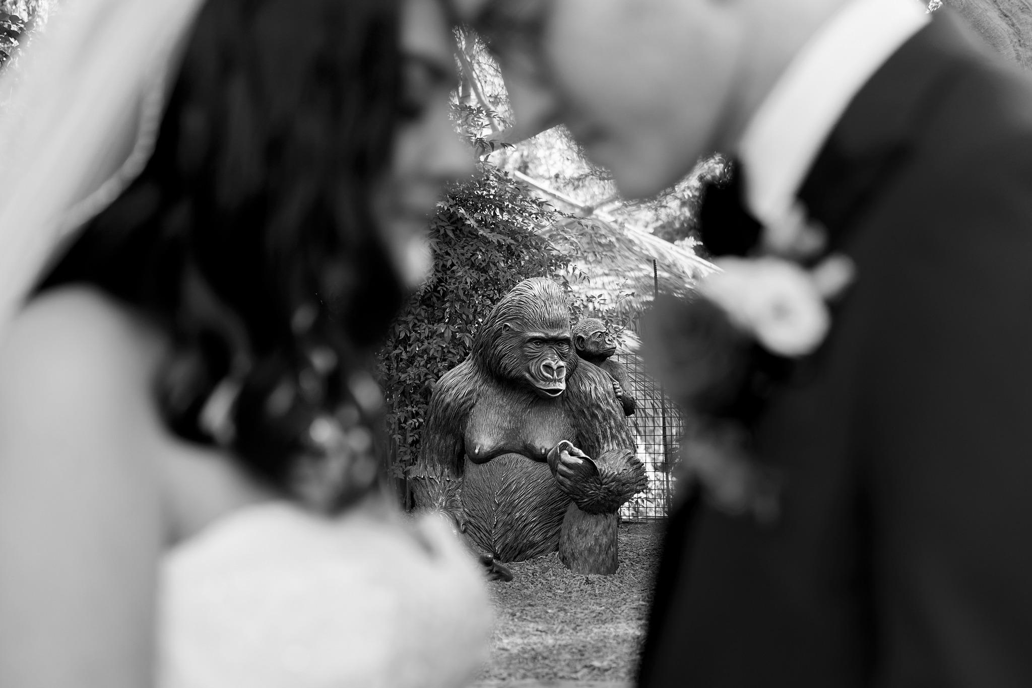 Jay Resh Photography portfolio 1
