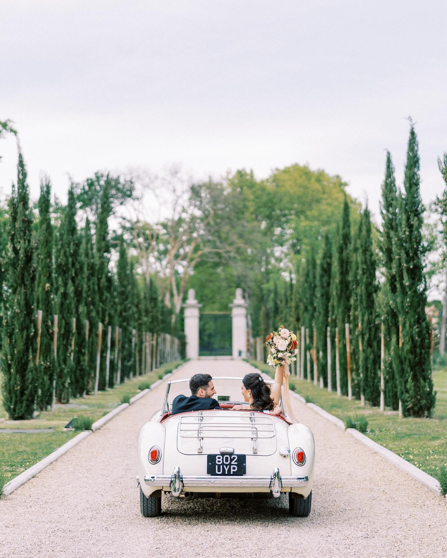 Brigitte Renee Photography