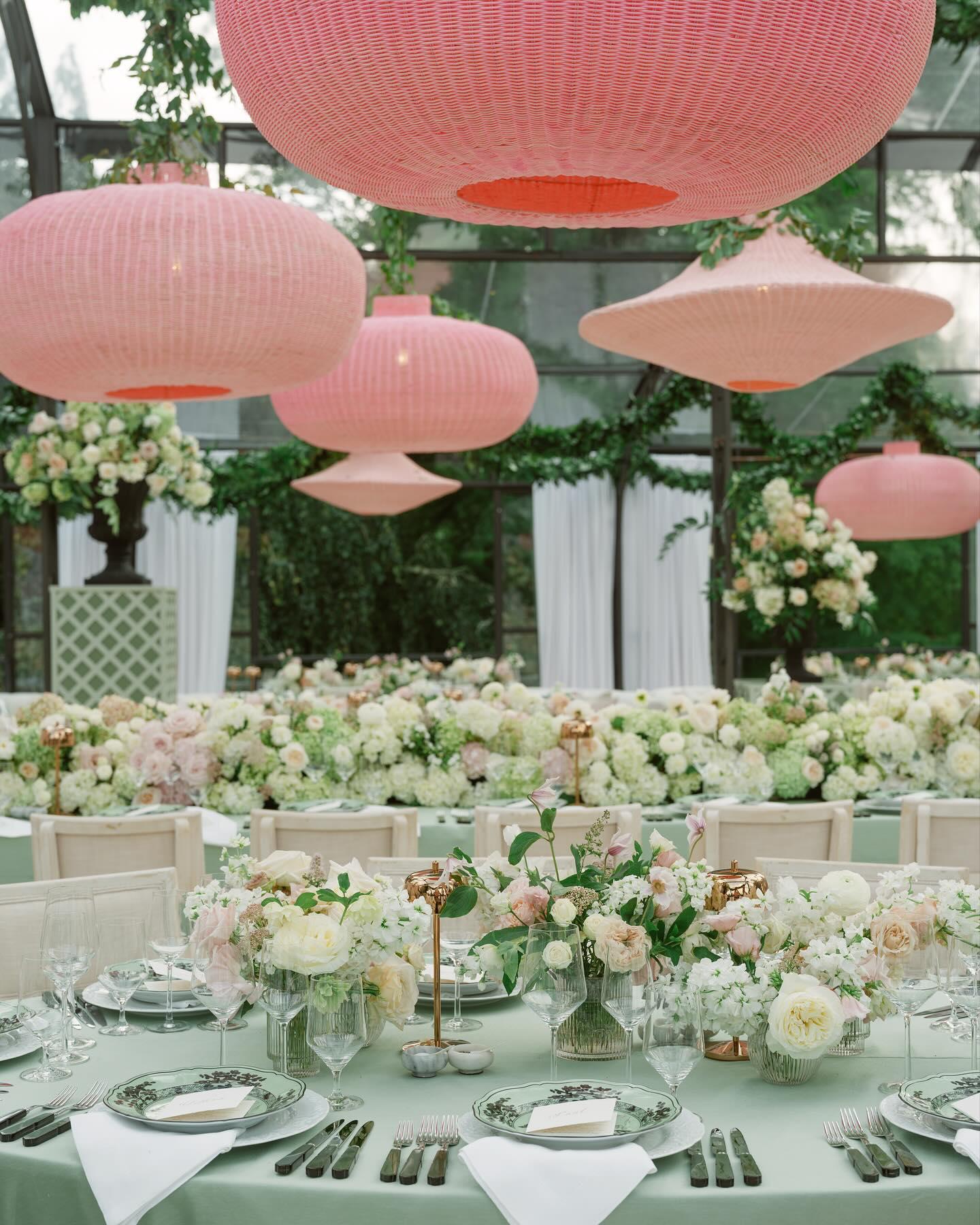 Tara Guérard Soiree