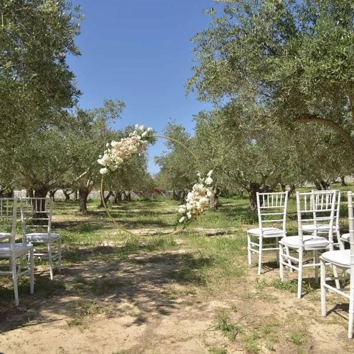 Arbora Olea Luxury Resorts portfolio 3