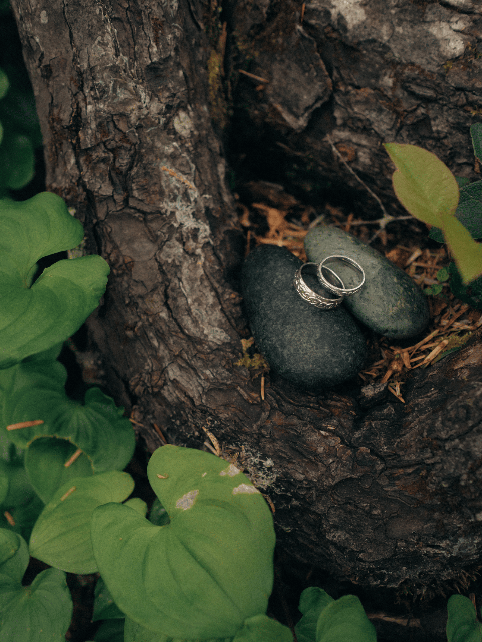 Earth-Toned Romance in the Quinault Rainforest photo 2