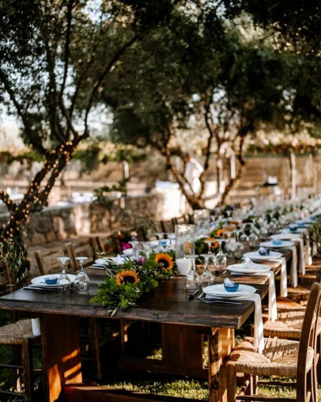 Arbora Olea Luxury Resorts portfolio 4