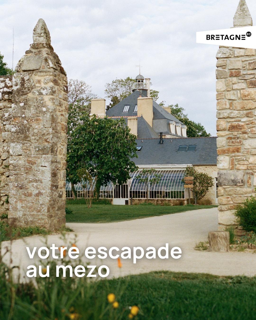 Domaine Le Mezo portfolio 2