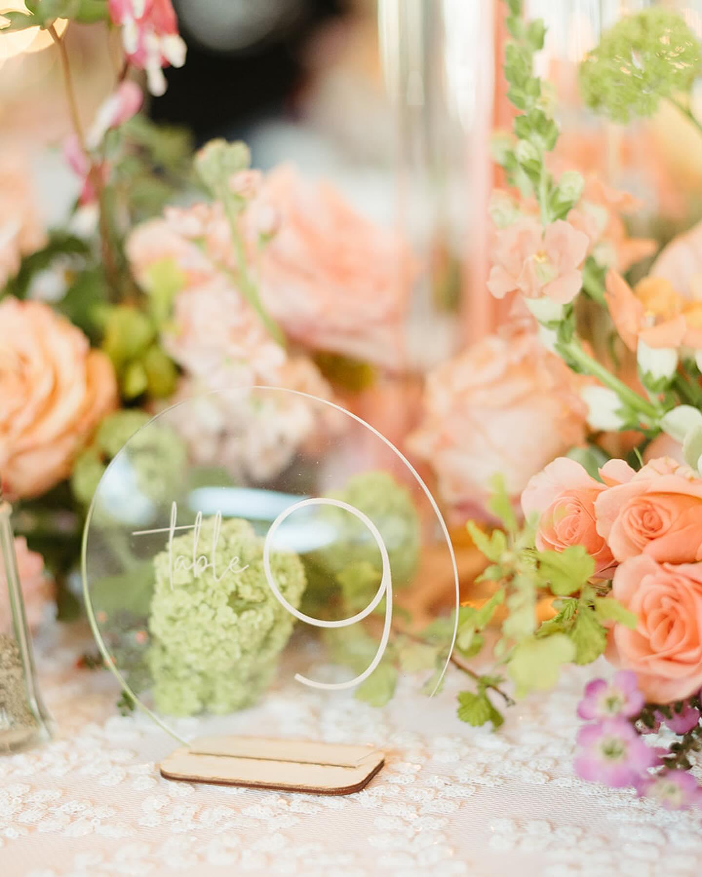 Denae Brennan Events portfolio 3