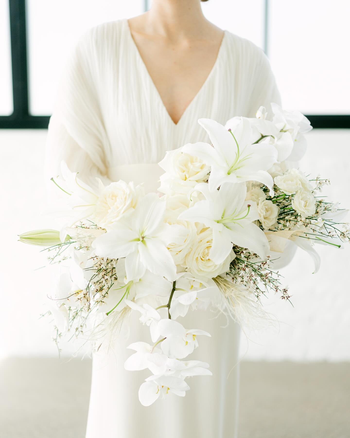 Denae Brennan Events portfolio 2