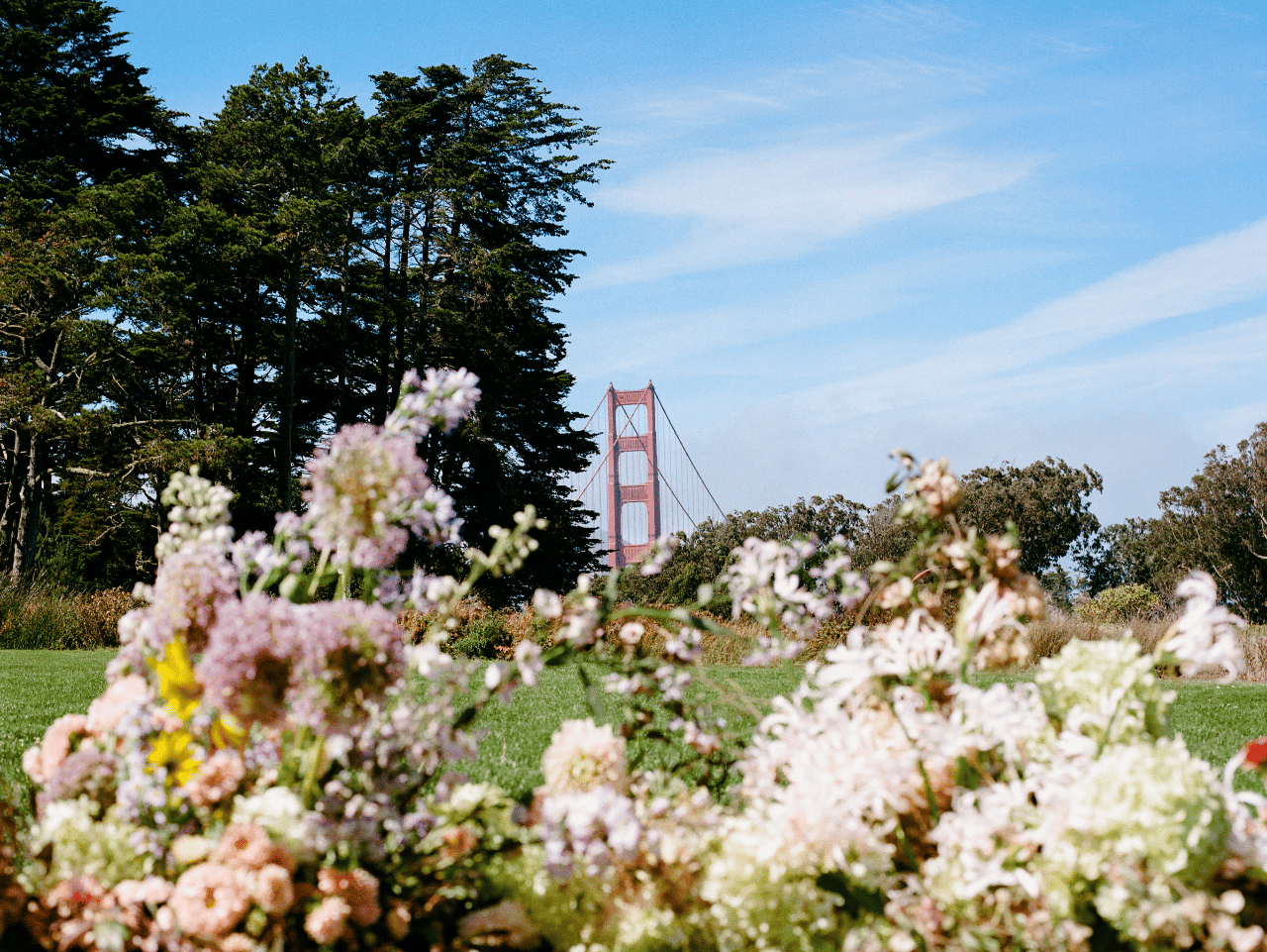 Effortless Elegance Beneath the Golden Gate Sky photo 3