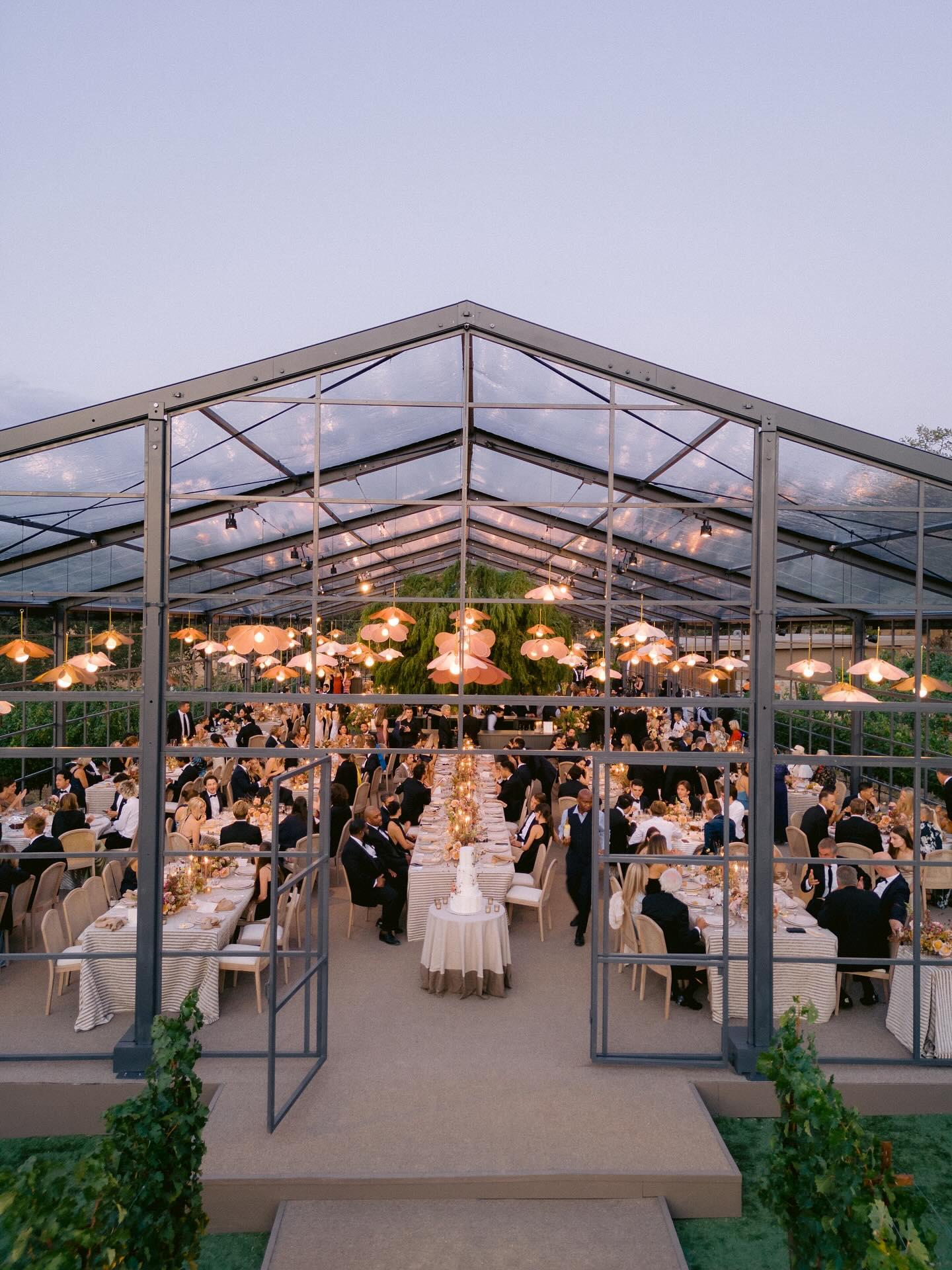 Laurie Arons Special Events