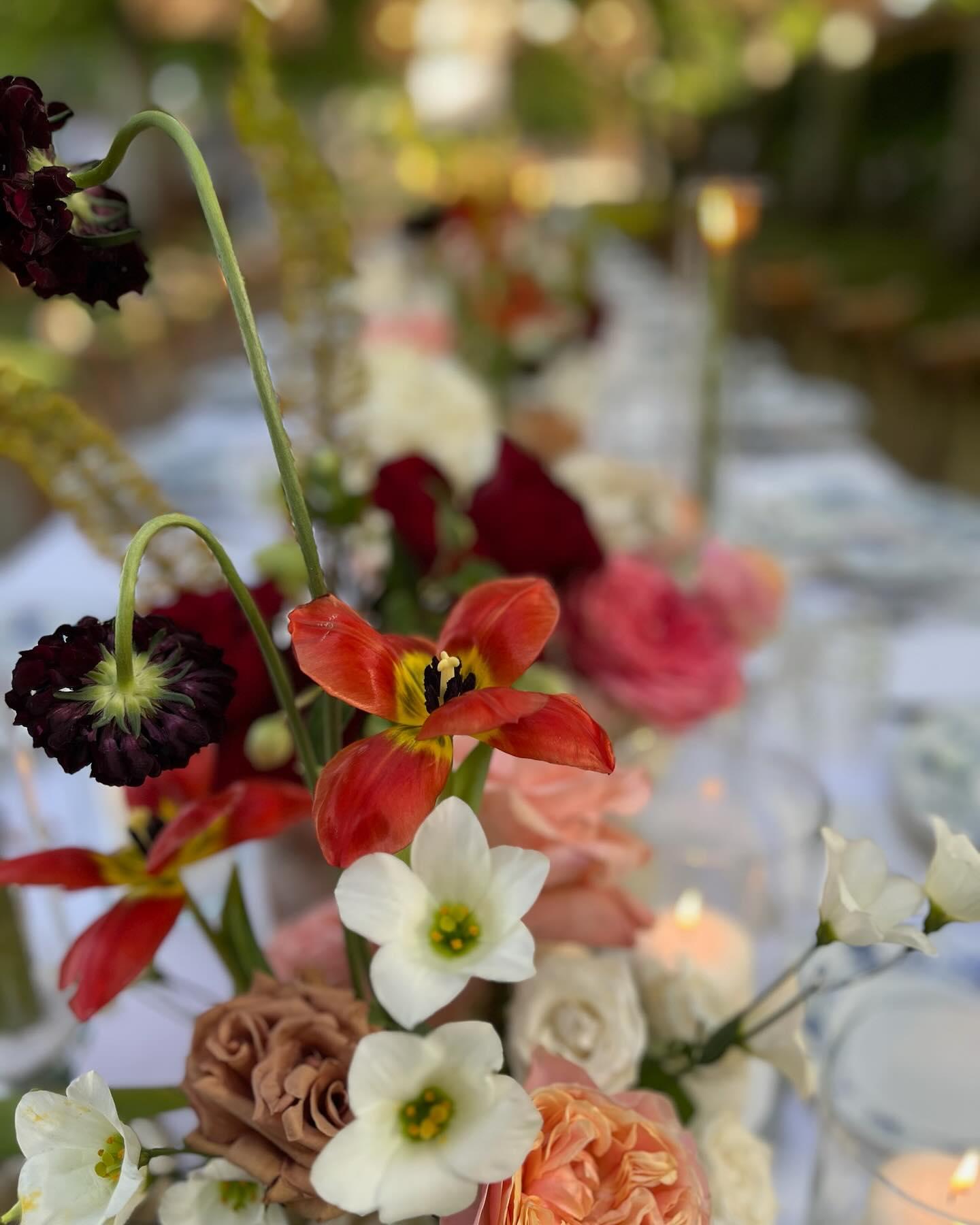 Il Cerimoniere Italian Weddings portfolio 2