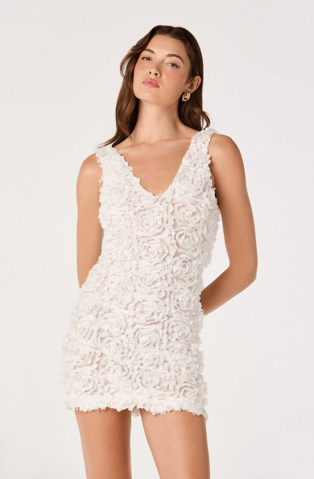 Magali 3D Floral Applique Mini Dress