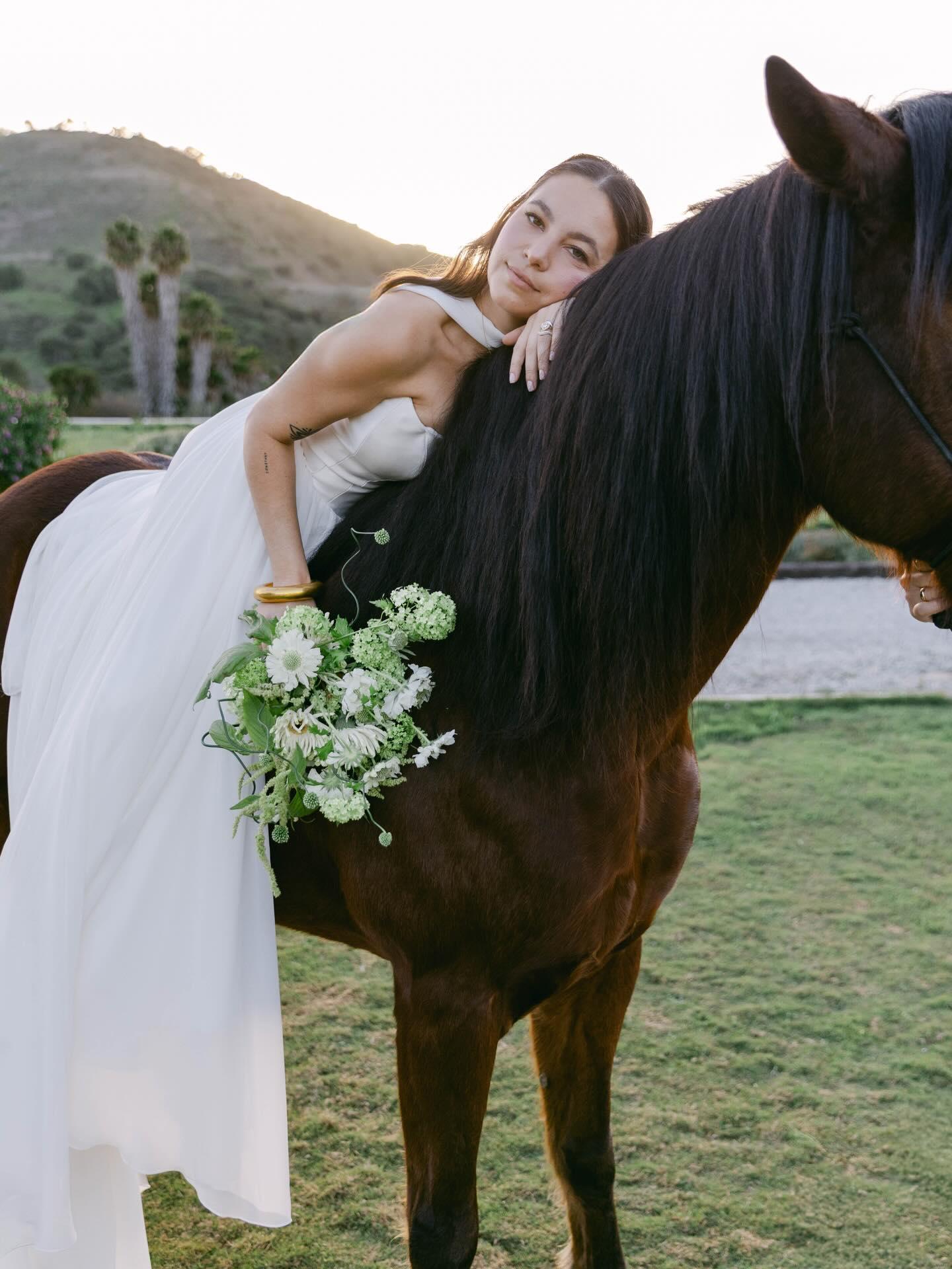 Sophia Katarina Events portfolio 3