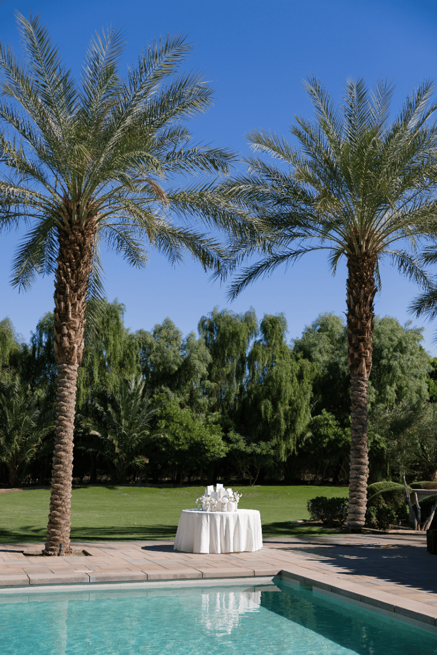 A sunlit ceremony setting framed by desert palms.